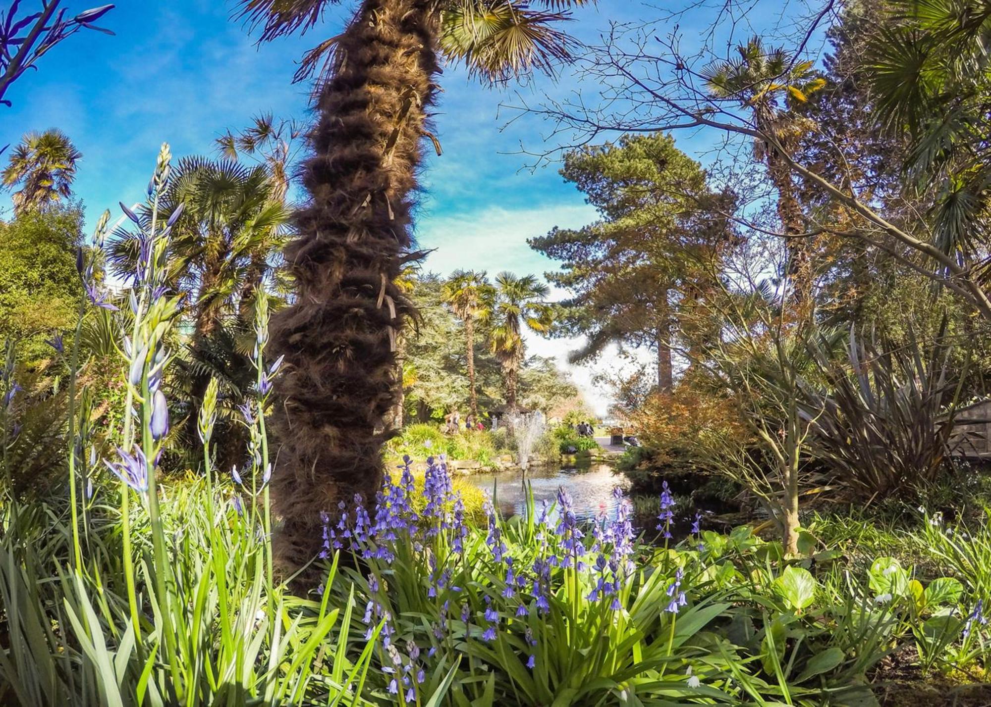 Bournecoast: Holiday Home Near Beach-Garden- 2192 Bournemouth Luaran gambar